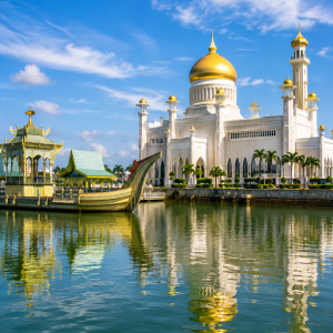 eSIM Brunei