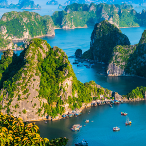 eSIM Việt Nam